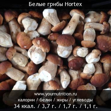 Белые грибы Hortex: калорийность и содержание белков, жиров, углеводов