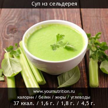 Суп из сельдерея: калорийность и содержание белков, жиров, углеводов