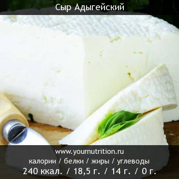 Сыр Адыгейский: калорийность и содержание белков, жиров, углеводов