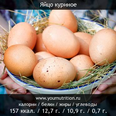 Яйцо куриное: калорийность и содержание белков, жиров, углеводов