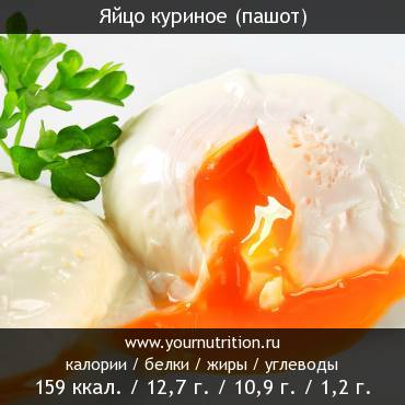 Яйцо куриное (пашот): калорийность и содержание белков, жиров, углеводов