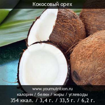 Кокосовый орех: калорийность и содержание белков, жиров, углеводов